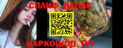 PSILOCYBIN Владикавказ