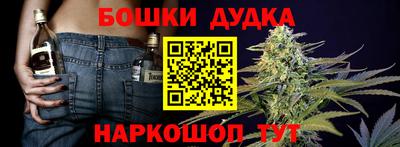 PSILOCYBIN Владикавказ