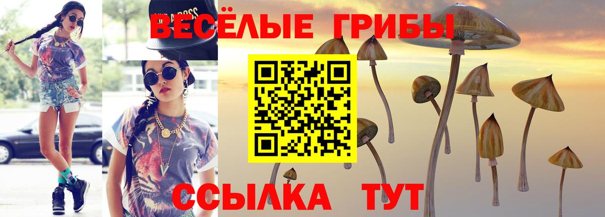 Галлюциногенные грибы мицелий  Вход с VPN  Псилоцибиновые грибы GOLDEN TEACHER  Асбест 